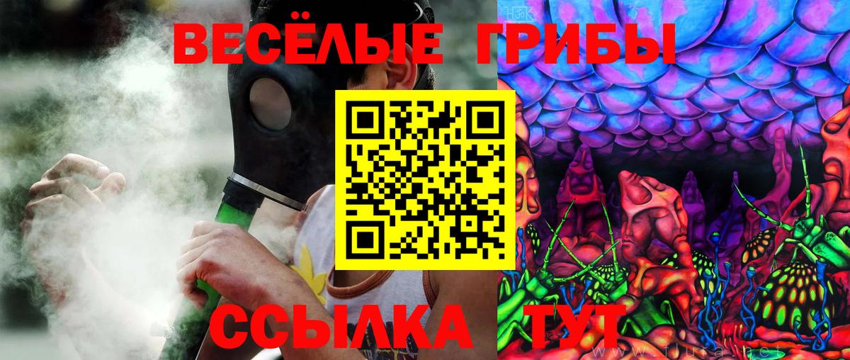 Галлюциногенные грибы Psilocybe Реж